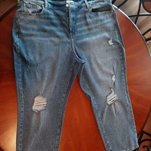 Lane Bryant high rise straight leg jeans